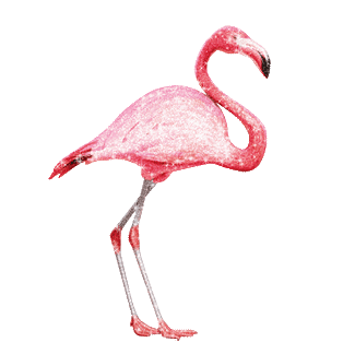 Гиф: Розовый фламинго