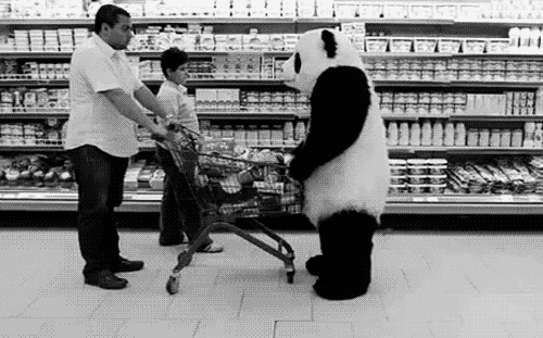 Гиф: Панда буянит в супермаркете