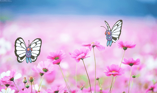 Гиф: Бабочки и весенние цветы